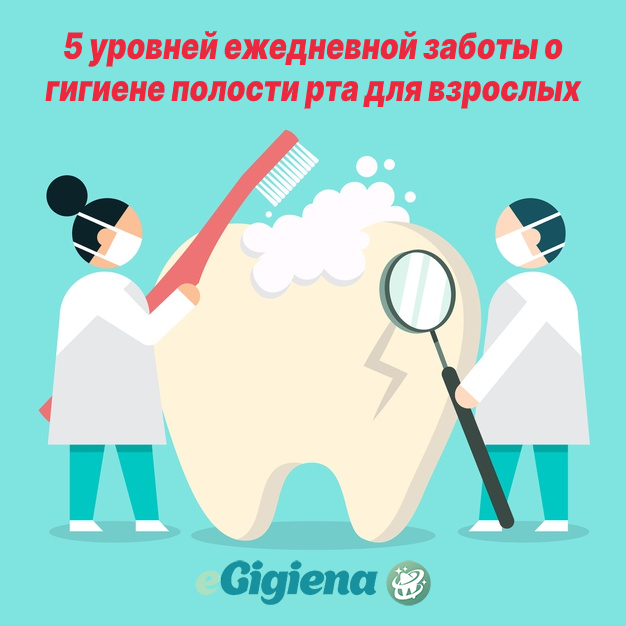 5 уровней заботы о гигиене полости рта